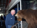 nick-bear-alaska-2007